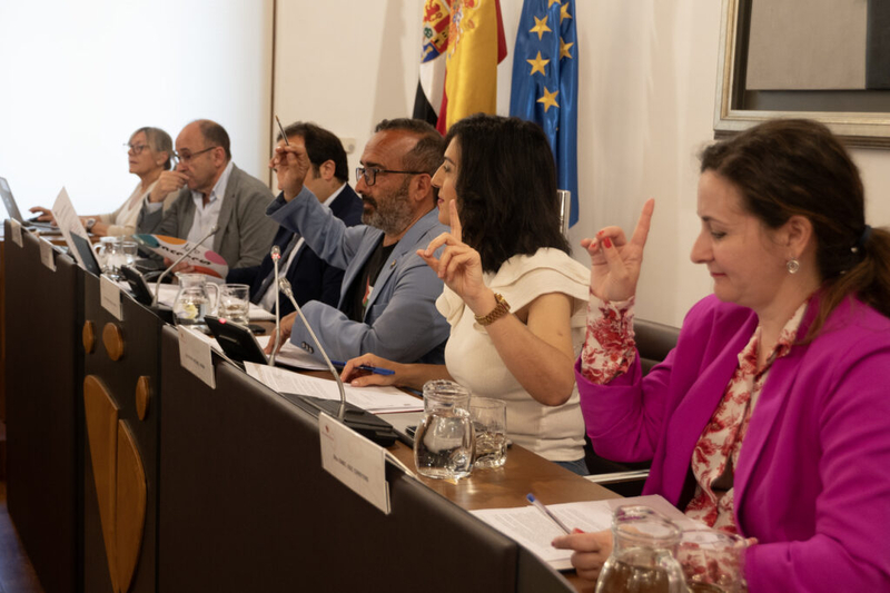 Diputación de Cáceres celebra pleno y aprueba más de 4M€ destinados, principalmente, a entidades locales, asociaciones de la provincia y SEPEI