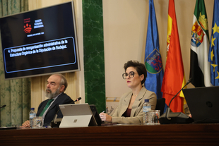 El pleno da luz verde a dos nuevos planes con los que la Diputación de Badajoz destinará 17 millones a los municipios