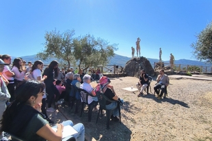 Diputación de Cáceres adjudica la obra de construcción de aparcamientos e itinerario peatonal en el Mirador de la Memoria