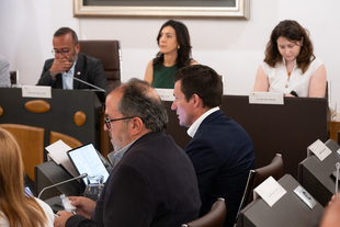 Diputación al servicio de los municipios: el pleno aprueba los 20 millones del Plan extraordinario para los ayuntamientos