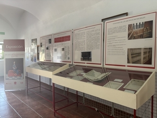 Expedientes sobre la extinción de una plaga de langosta o la subasta de huevos incautados, entre los documentos que exhibe la exposición 