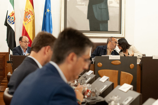 Diputación de Cáceres aprueba en pleno más de 2M€ destinados, principalmente, a entidades locales y asociaciones de la provincia