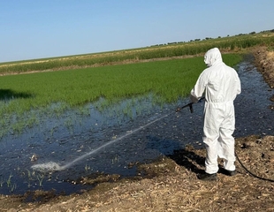 La Diputación publica en el BOP la resolución de las ayudas del Cuarto Plan de Control de Mosquitos en las Vegas Altas