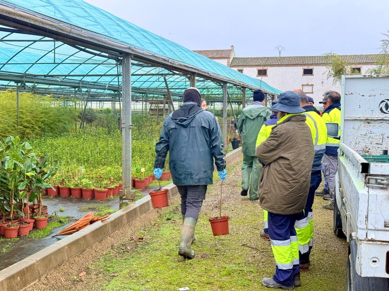 Comienza el reparto de arbolado a 147 ayuntamientos de la provincia de Cáceres