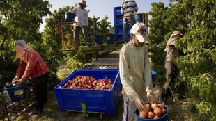 La exportaciones de Extremadura crecen un 6,5% interanual en septiembre, hasta los 302,4 millones de euros