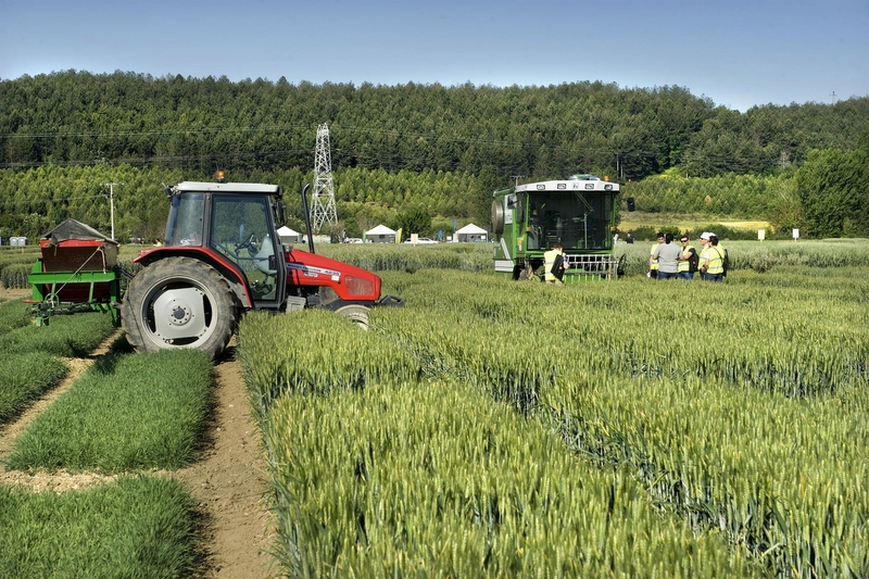 El DOE publica las ayudas a los jóvenes agricultores que pueden llegar hasta los 70.000 euros por agricultor