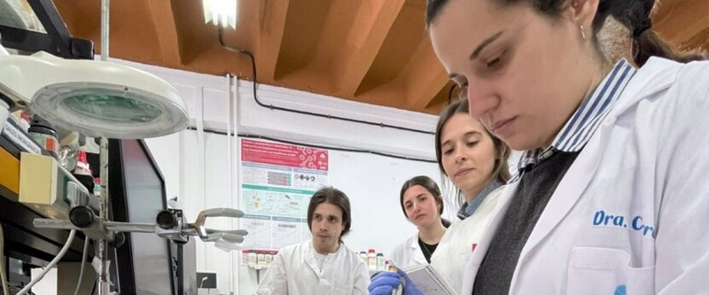 Una investigadora de la UEx desarrolla una celda electroquímica que detecta fármacos antidepresivos en aguas residuales